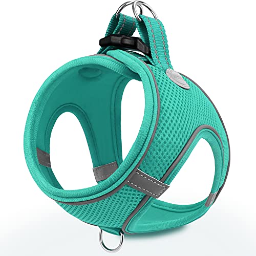 Joytale Arnes Perro, Reflectante Cómodo Transpirable Arnés, Perros Arneses Chaleco para Gato y Cachorros Perro, Verde Azulado, S