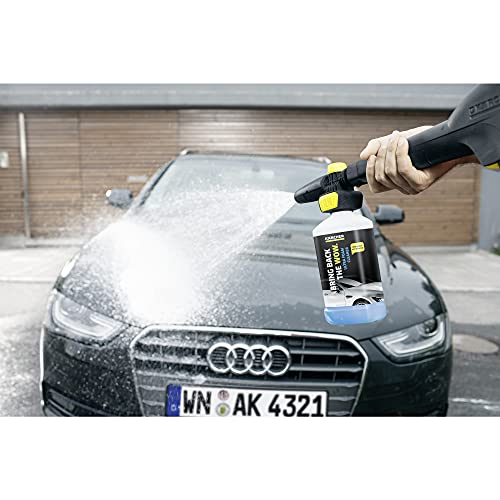 Kärcher Ultra Foam Cleaner 3 en 1 RM 615 (6.295-743.0)