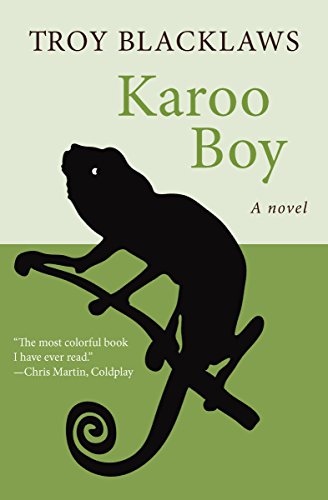 Karoo Boy: A Novel (English Edition)