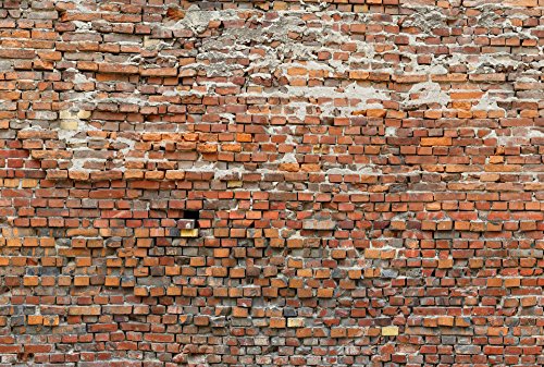 Komar Fotomural TNT 368 x 248 cm – 4 Telas – Bricklane