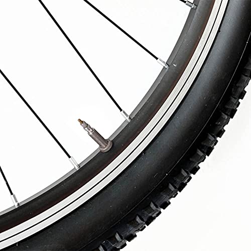 Kytpyi válvula de Bicicleta, 10 Piezas Valvula tubeless válvula Presta tubeless Presta Valve Core núcleo de válvula para Bicicletas sin cámara Bicicletas de montaña Bicicletas de Carretera