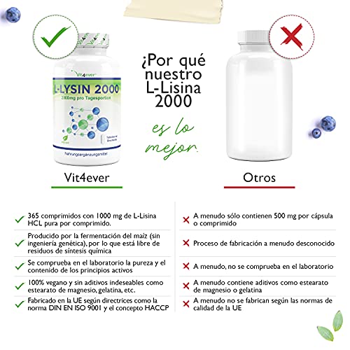 L-Lisina 2000 - 365 comprimidos - 1000 mg por UN comprimido - De fermentación vegetal - Sin aditivos no deseados - Altamente dosificado – Vegano