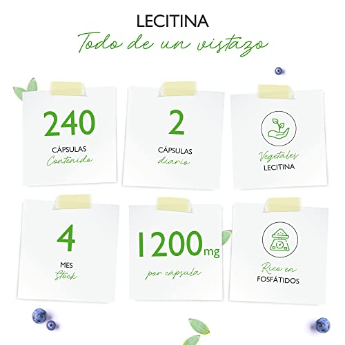 Lecitina 1.200 mg - 240 cápsulas blandas - Premium: Con fosfátidos - Lecitina de soja no modificada genéticamente - Alta dosis