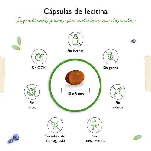 Lecitina 1.200 mg - 240 cápsulas blandas - Premium: Con fosfátidos - Lecitina de soja no modificada genéticamente - Alta dosis