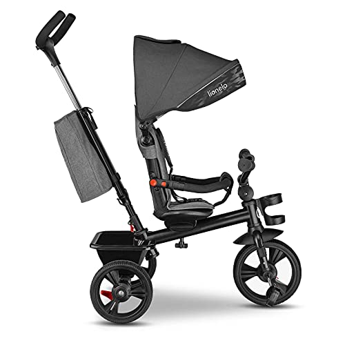 LIONELO Haari Bicicleta 2 en 1 Menores hasta 25 kg 1,5-5 años Triciclo- carrito Cesta espaciosa, bolsa y portavasos Cinturones de 3 puntos con fundas Toldo Reposapiés Gris