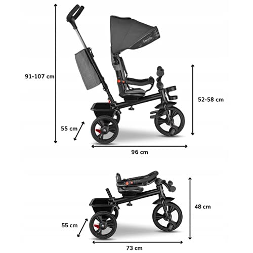 LIONELO Haari Bicicleta 2 en 1 Menores hasta 25 kg 1,5-5 años Triciclo- carrito Cesta espaciosa, bolsa y portavasos Cinturones de 3 puntos con fundas Toldo Reposapiés Gris