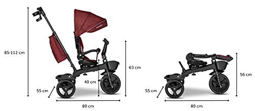 LIONELO Kori Bicicleta 2 en 1 Niño hasta 25 kg 1,5-5 años Triciclo y bicicleta de paseo Cinturones de 3 puntos con fundas Cubierta de llanta pesa solo 9 kg 2 cestas para juguetes Granate