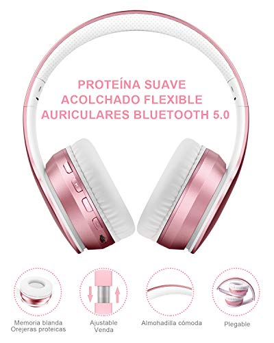 LOBKIN Auriculares Bluetooth 5.0 inalambricos de Diadema Cascos Plegables, Casco Bluetooth con Sonido Estéreo Micro SD/TF, FM con micrófono y Audio Cable para Movil, PC, Tablet