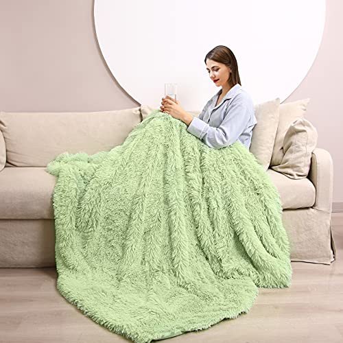 Manta Peluche, Manta Pelo Largo Mullida Súper Suaves y Cálidas, Manta Sofa PV y Franela de Doble Cara, Manta para Sofa, Cama, 130x160cm, Menta Verde