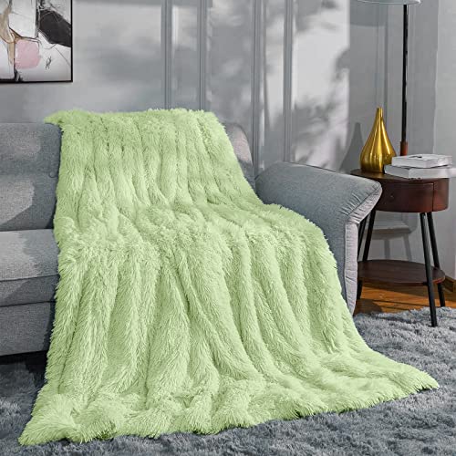 Manta Peluche, Manta Pelo Largo Mullida Súper Suaves y Cálidas, Manta Sofa PV y Franela de Doble Cara, Manta para Sofa, Cama, 130x160cm, Menta Verde