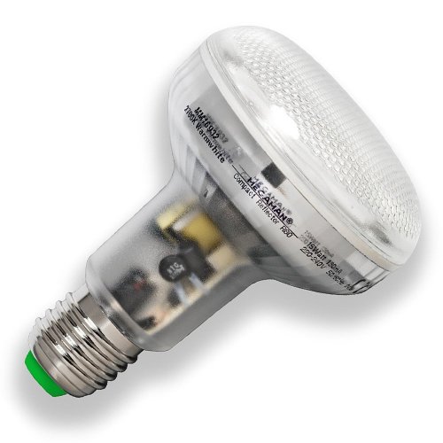 Megaman ESL COMPACT - Bombilla de foco de luz (R80, 15 W, ES), luz blanca cálida