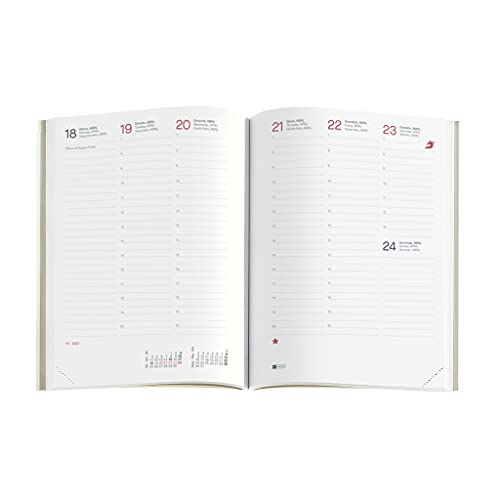 Miquelrius - Recambio Agenda anual 2022 Fundas Plus - Semana Vista Vertical, Tamaño Plus 155 x 213 mm (aprox A5), Catalán, Portugués e Inglés