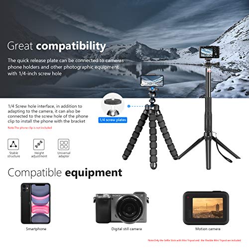 Neewer Mejorados 50 en 1 Accesorios para Cámara de Acción Compatible con GoPro Hero 9 8 MAX 7 6 5 4 Negro GoPro 2018 Sección Fusión Plata Blanca Insata360 dji AKASO APEMAN Campark SJCAM Acción Cámara