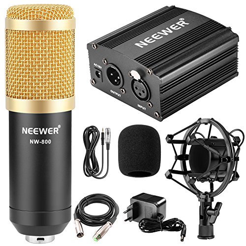 Neewer - NW-800 90088373 - Micrófono 48V Fuente Phantom con Adaptador de Corriente, Montaje de Choque, Cubierta de Espuma Anti-Viento, Cable de Audio XLR y Fuente de Alimentación - Color Negro