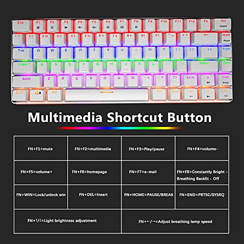 PC Teclado Mecánico para Juegos, LED Mezclado con Retroiluminación USB con Cable de 82 Teclas, Anti-Fantasma, Teclado Ergonómico de Computadora Jugar Juegos y Tipeos(Switches Azul, Blanco)