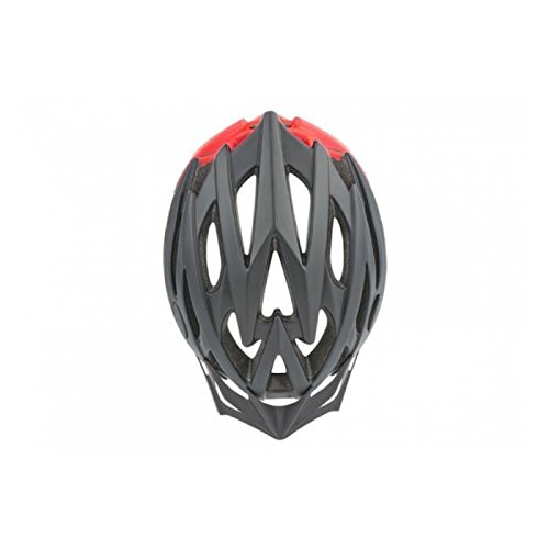 Polisport Casco Bicicleta Adulto Twig M = 55/58 cm