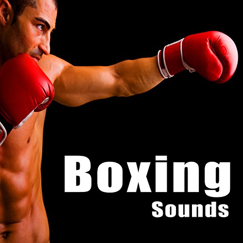 Professional Boxing Match Single Round Ambience