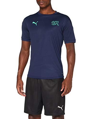 PUMA Sfv Training Jersey Camiseta, Hombre, Peacoat-Green Glimmer, L