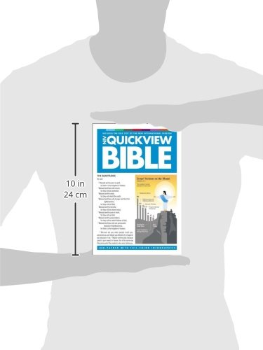 Quickview Bible-NIV: Visual Snapshots of God's Word