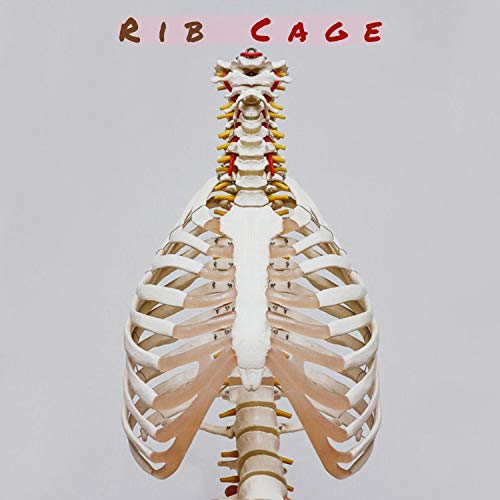 Rib Cage [Explicit]