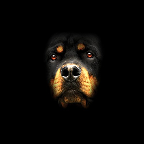 Rottweiler Perro Animales Hombre Camiseta Negro L