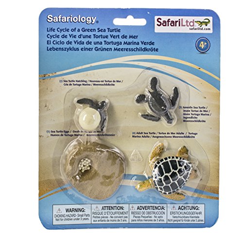 Safari-662316 Life Cycle of a Green Sea Turtle Figurines (662316)