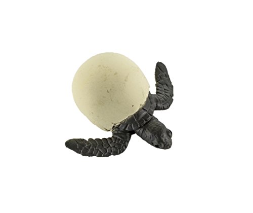 Safari-662316 Life Cycle of a Green Sea Turtle Figurines (662316)