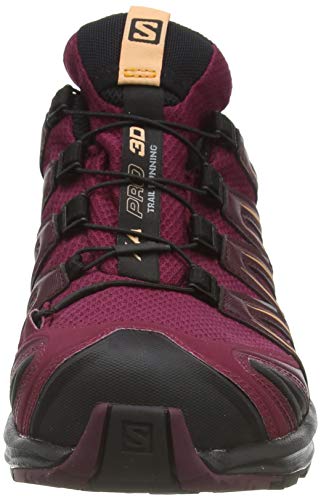 Salomon XA Pro 3D GTX W, Zapatillas de Trail Running Mujer, Rojo (Rhododendron/Winetasting/Cantaloupe), 40 2/3 EU