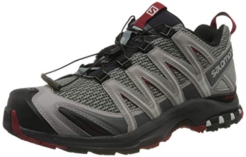 Salomon XA Pro 3D, Trail Running Shoe Hombre, Gris (Monument/Ebony/Red Dahlia), 46 EU