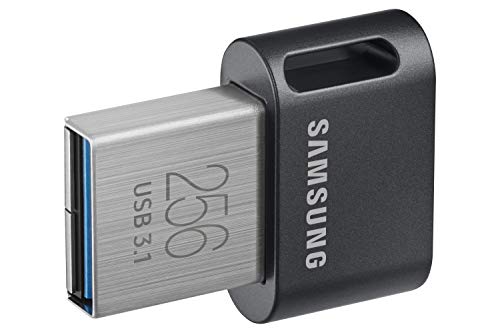 Samsung MUF-256AB unidad flash USB 256 GB USB tipo A 3.2 Gen 1 (3.1 Gen 1) Gris, Plata