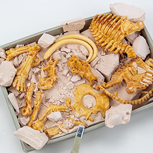 Science4you - Mamut Excavaciones Fósiles - Dinosaurios para Niños 6+ Años - Excava 17 Fosiles con Este Juego Arqueologia, Set de Paleontologo, Ciencia y Juguetes para Niños +6 Años