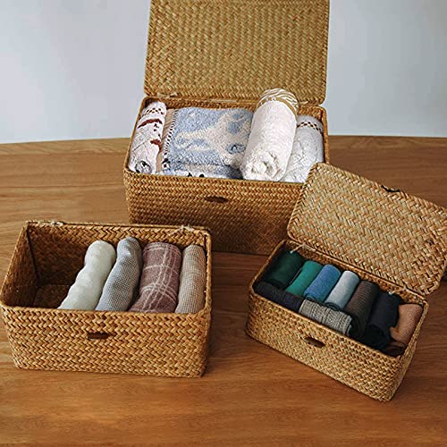 Seagrass - Cesta de mimbre con tapa para cestas de almacenamiento, cesta de ratán trenzado, cesta de mimbre con tapa para cestas de almacenamiento (23 x 13 x 8 cm)