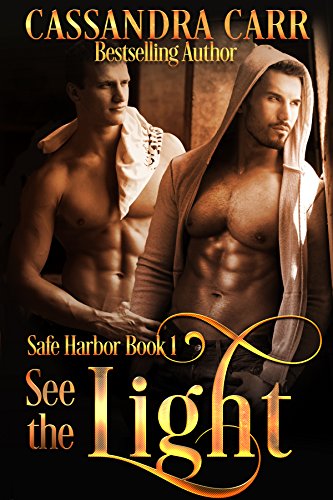 See the Light - Safe Harbor book 1: MM hockey romance (English Edition)