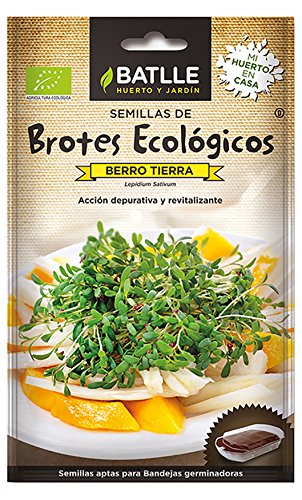 Semillas Ecológicas Brotes - Brotes ecológicos de Berro Tierra - Batlle