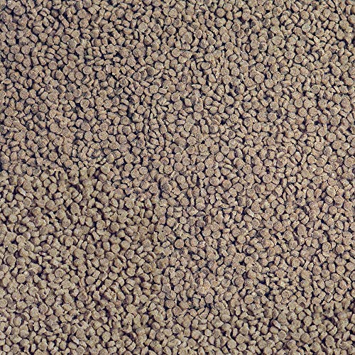 Sera Gránulos con Efecto potenciador de Color para cíclidos carnívoros Granured