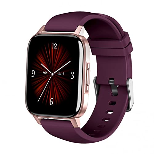 SMARTWATCH LEOTEC 1,69" Multisport RYSTAL Gris Purpura