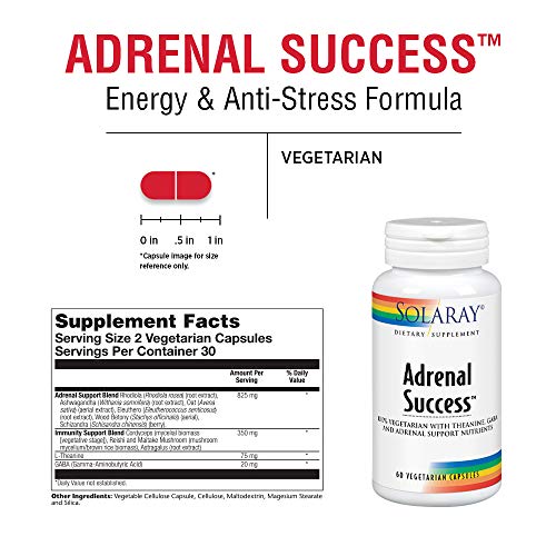 Solaray Adrenal Success | Adaptógenos Herbarios + GABA & L-Theanine para un apoyo saludable al estrés |Sin Gluten | Apto Para Veganos | 60 VegCaps