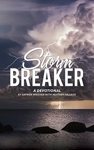 Storm Breaker (English Edition)