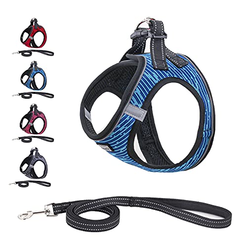 Suredoo Arnés Perro Pequeños Reflectante, Arnés Antitirones Suave Acolchado Cómodo Transpirable Arneses Chaleco para Perros Pequeños, Gatos y Cachorros (S, Azul)