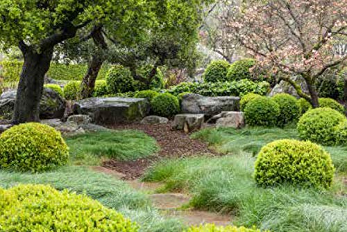 The Art of Outdoor Living: Gardens for Entertaining Family and Friends