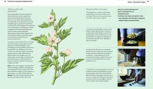 The Gardener's Companion to Medicinal Plants: An A-Z of Healing Plants and Home Remedies (Kew Experts)