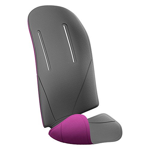 Thule 100402 - Accesorio para Remolque de Bicicleta, Color Dark Grey y Purple