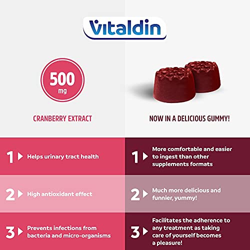 VITALDIN Cranberry gummies – 500 mg de extracto de Arándano Rojo por dosis diaria + Zinc – 70 gominolas (suministro para 1 mes), sabor a Arándanos – Ayuda al Tracto Urinario – Vegano & Sin Gluten