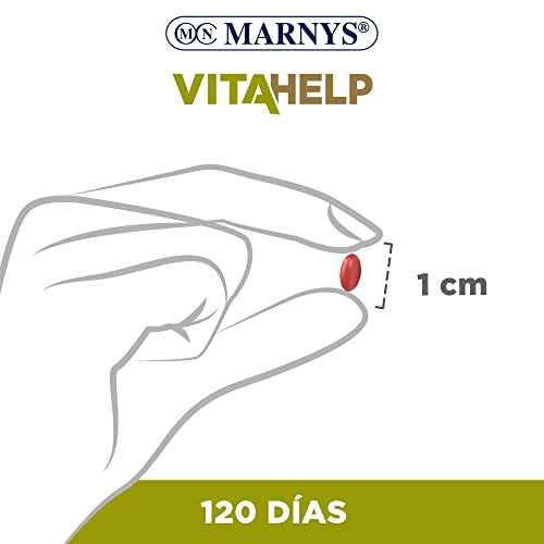 Vitamina D 4000 Ui - Perlas Para 4 Meses - Vitamina D Natural Colecalciferol - Estimula El Sistema Inmunitario 64 G, Nuetro, 120 Unidades