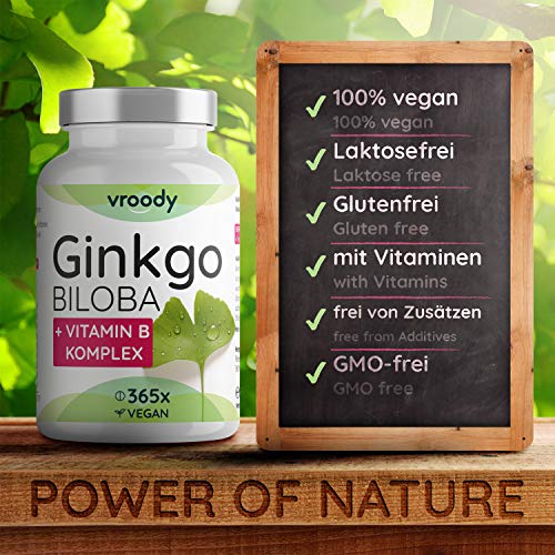 VROODY Extracto de Ginkgo Biloba Vegano 6000 mg, alta dosis - con vitamina B12, ayuda a combatir la fatiga y el cansancio - 365 comprimidos pequeños fáciles de tomar