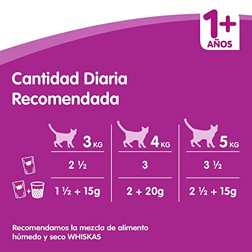 Whiskas Comida Húmeda para Gatos Selección Carnes en Gelatina, Multipack (4 cajas x 12 bolsitas x 100g)