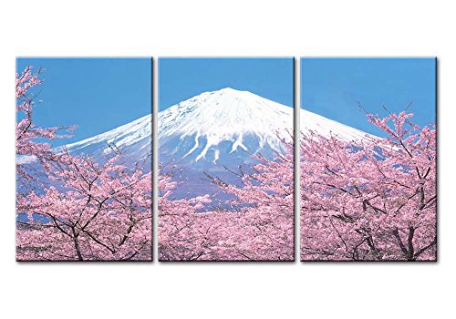 WTD - Lienzo decorativo para pared (3 piezas), diseño de flores de cerezo Fuji