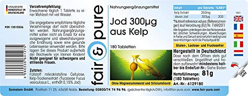 Yodo 300µg - Suplemento de Yodo natural procedente de Alga Kelp - Fucus vesiculosus - Vegano - Alta pureza - 180 Comprimidos