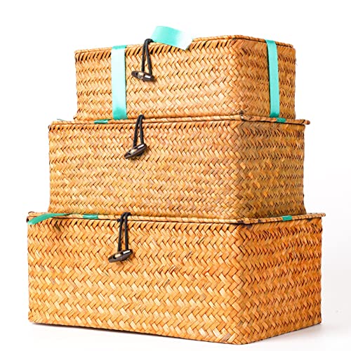 YSGLIFE Cesta con Tapa de Almacenamiento Seagrass Caja de Regalo Cajas Organizadoras de Cesta de Estante Mimbre Rectangular Tejida de Ratán Natural Para Dormitorio Sala de Estar Oficina (Juego de 3)