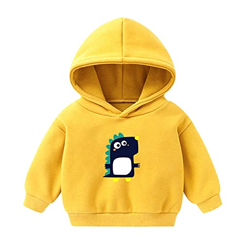 YWLINK Bebé ReciéN Nacido De Manga Larga con Capucha Sudadera Tops Sudaderas Casuales para BebéS Y NiñOs Camisetas De Color Liso Jersey Cuello Redondo Sudadera con Capucha Y Letras